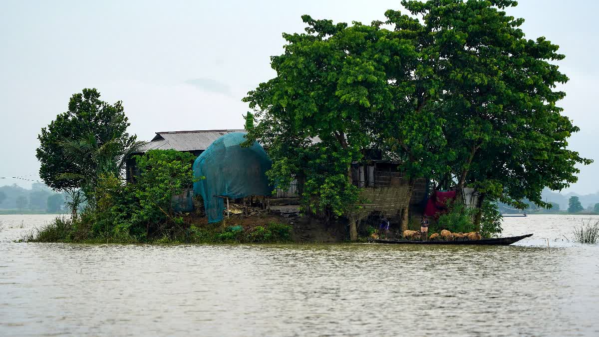 ASSAM MONSOON FLOODS