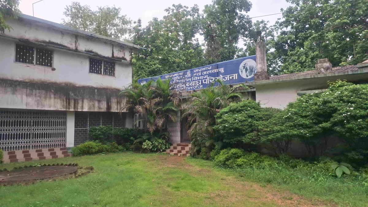 Palamu Tiger Reserve sought information regarding arms licenses in surrounding districts