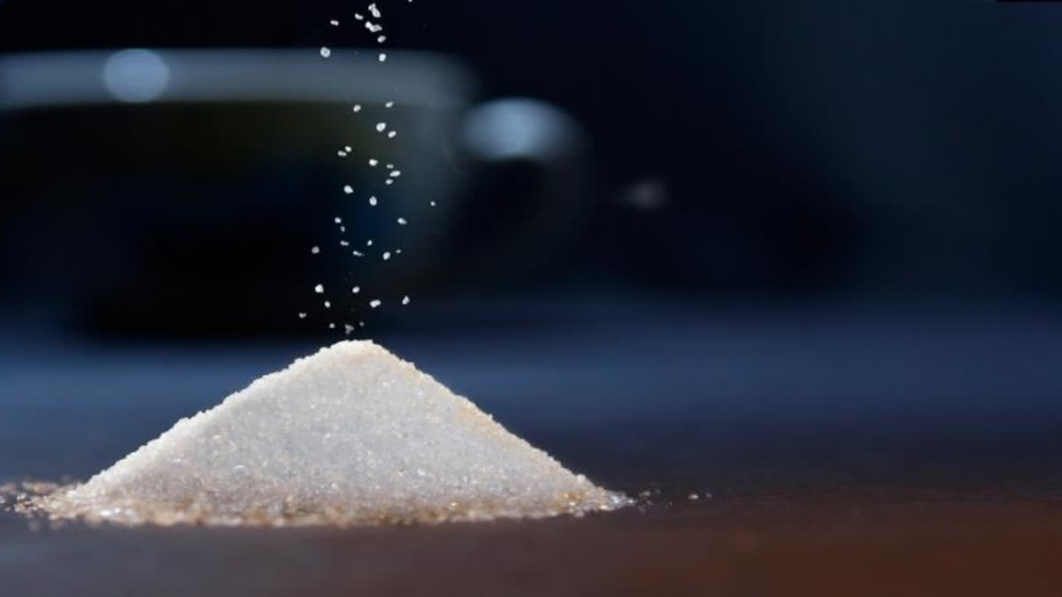Sugar Price
