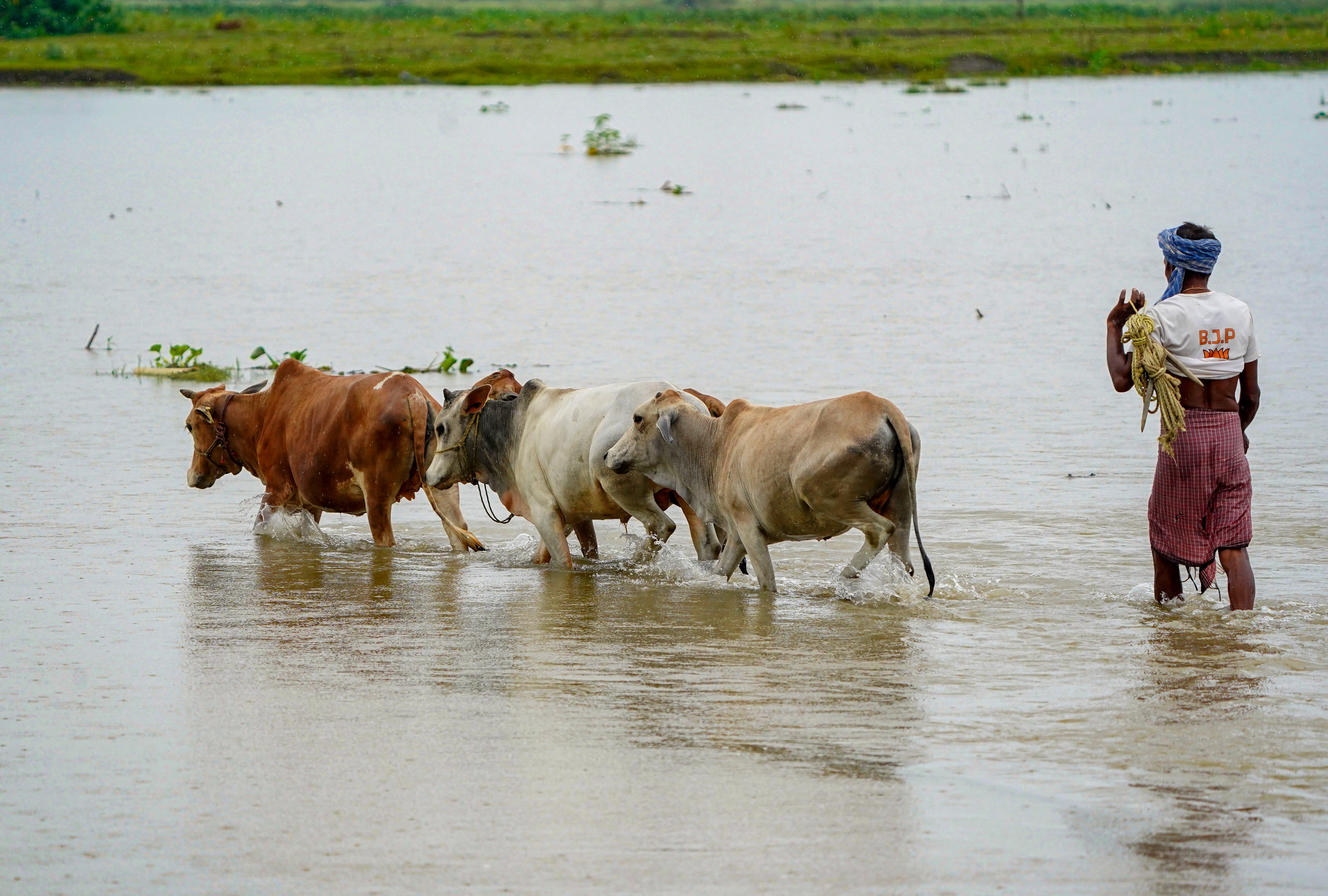 ASSAM MONSOON FLOODS