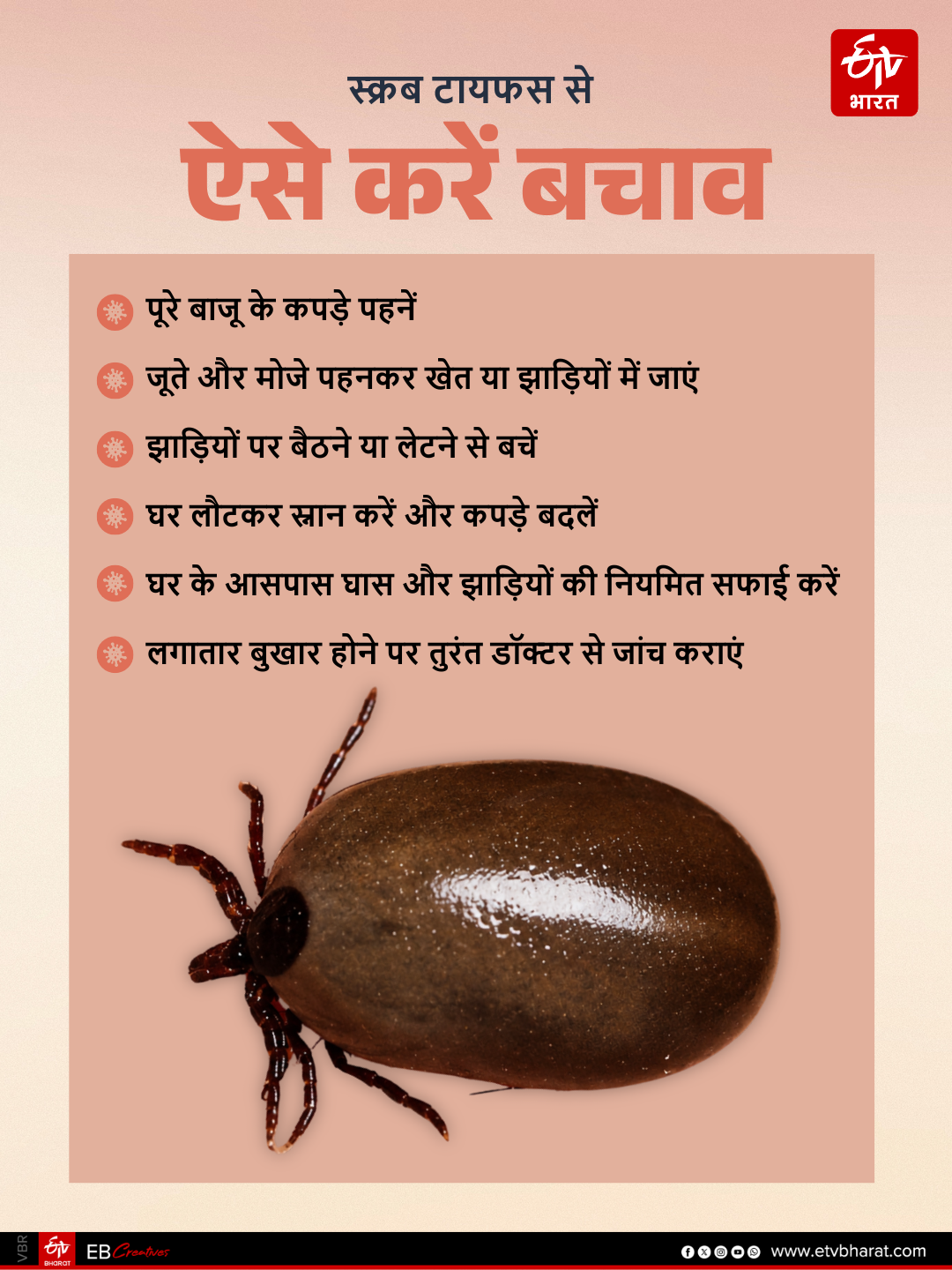 स्क्रब टायफस से ऐसे करें बचाव