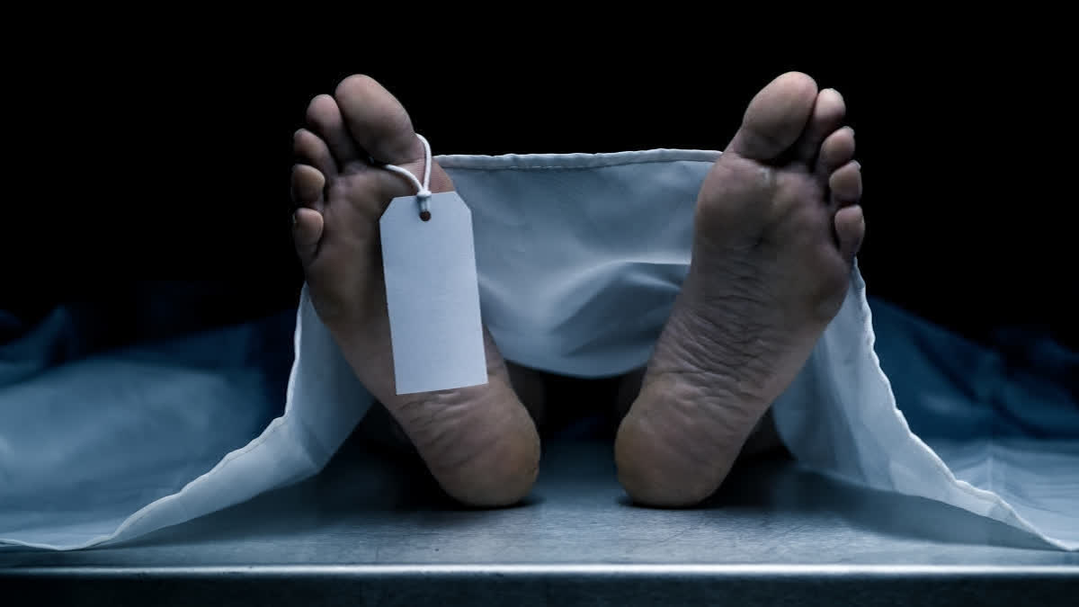 Anna Sebastian Perayil Death | 'My Daughter Used To Cry On Phone...': Recalls Her Father Sibi Joseph Anna Sebastin Peryil death: Father recalls his daughter was under pressure