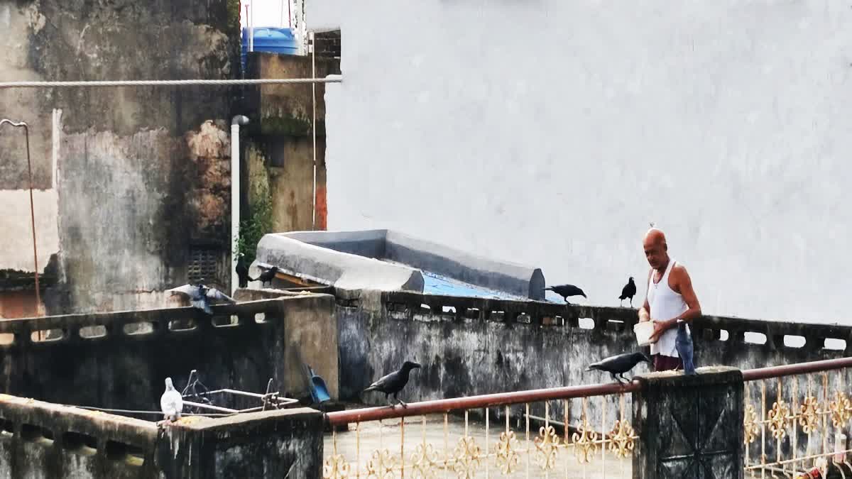ಛತ್ತೀಸ್ಗಡ :30 ವರ್ಷಗಳಿಂದ ಕಾಗೆಗಳ ಹಸಿವು ನೀಗಿಸುತ್ತಿರುವ ಪಕ್ಷಿಪ್ರೇಮಿ...!!"