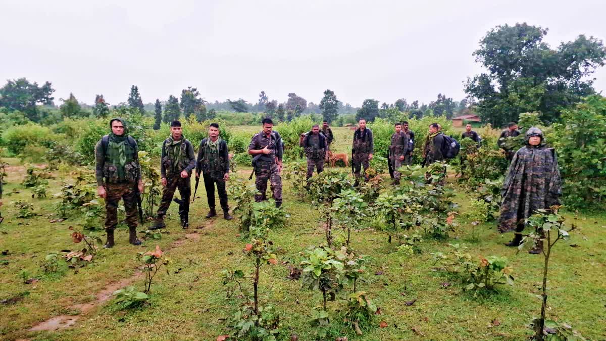 Palamu police found several evidence during investigation of assets belonging to Naxal organization TSPC