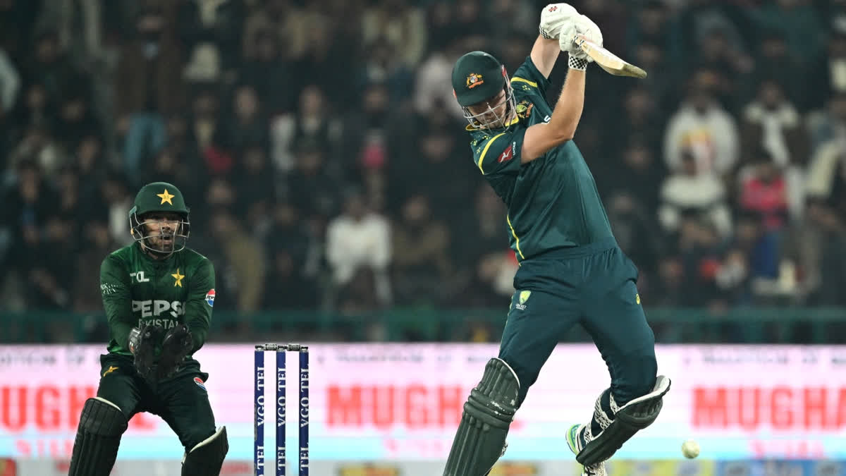 AUS vs SA: Jack Edwards Called Up To Australia Squad For ODI Series jack edwards to australia squad