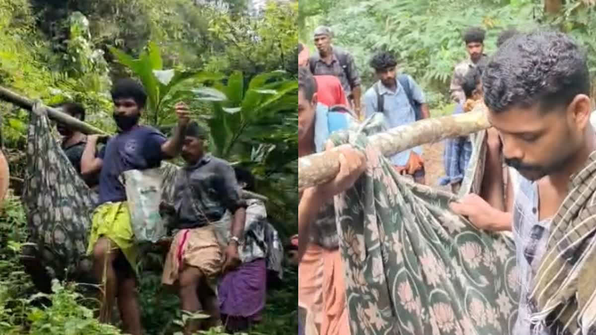 TRIBALS RISK LIVES TO REACH HOSP Government Promises Intervention 15 Families Live at Vettivittakadu ATHIRAPALLY VAZHACHAL SHOLAYAR