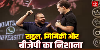 बीजेपी का राहुल गांधी पर निशाना
