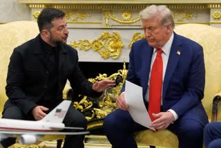 Trump Zelenskyy Phone Call