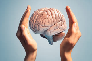 Why is dementia often diagnosed late? Find out what doctors say.