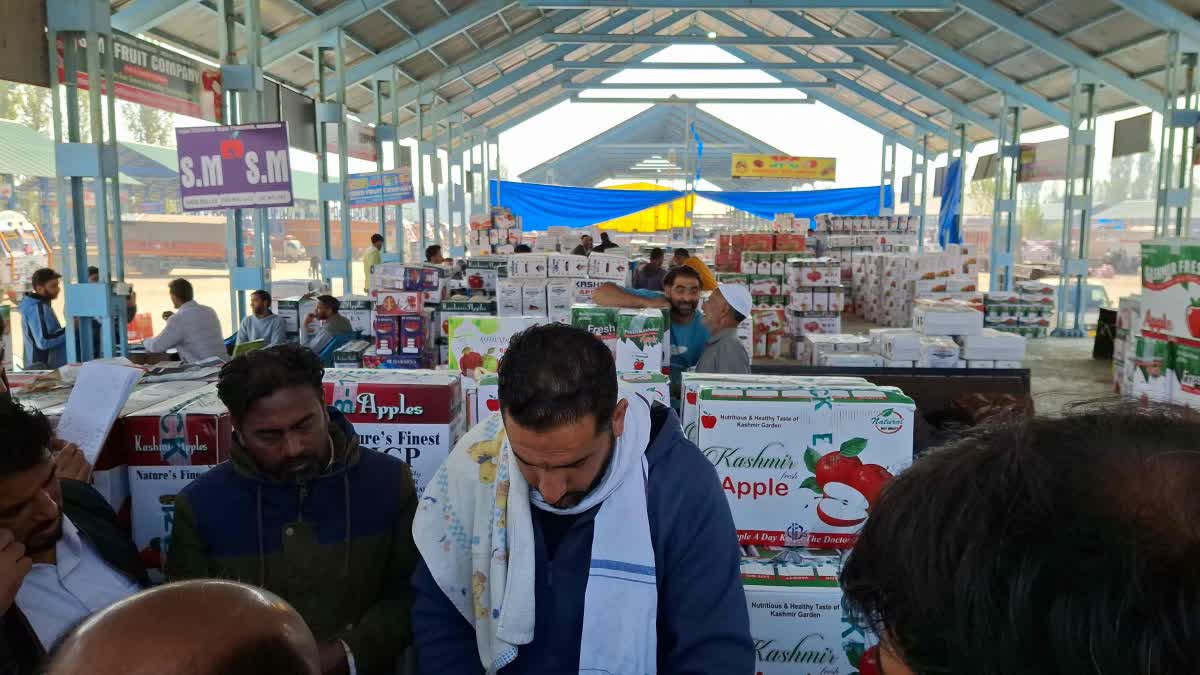 جبلی پورہ فروٹ منڈی وادی کشمیر کا ابھرتا ہوا اقتصادی مرکز