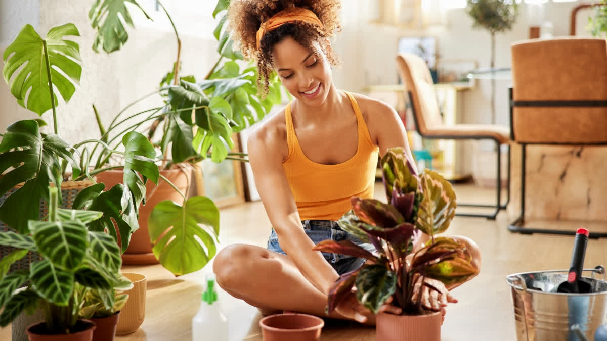 8 Low-Maintenance Indoor Plants For Indian Homes That You Don't Need To Water Daily Woman taking care of her plants at home