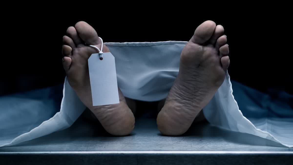 “இனி நான் என்ன செய்வேன்?” - எஸ்ஐஆர் பணி அழுத்தத்தால் அரசு ஊழியர் எடுத்த விபரீத முடிவு! கதறும் கணவர்