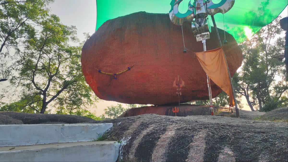 ಭರತದೇವನ ನಿಗೂಢ ಕಥೆ: ಇಡೀ ವಿವಾಹ ಮೆರವಣಿಗೆಯೇ ಕಲ್ಲಾಗಿದೆಯಂತೆ; ಇನ್ನೂ ಗಾಳಿಯಲ್ಲಿ ...