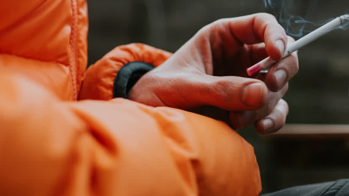 fsc cigarettes Fire Standard Compliant (FSC) Cigarette Program