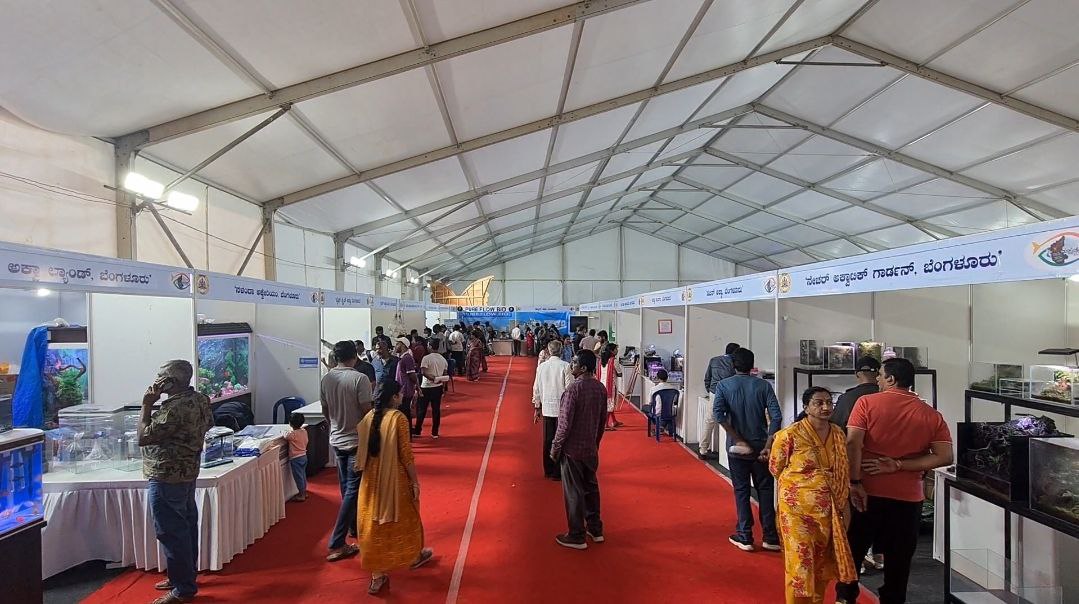 Bengaluru Fish Fair Opens To Public With Exhibits, Discussions And Food Stalls