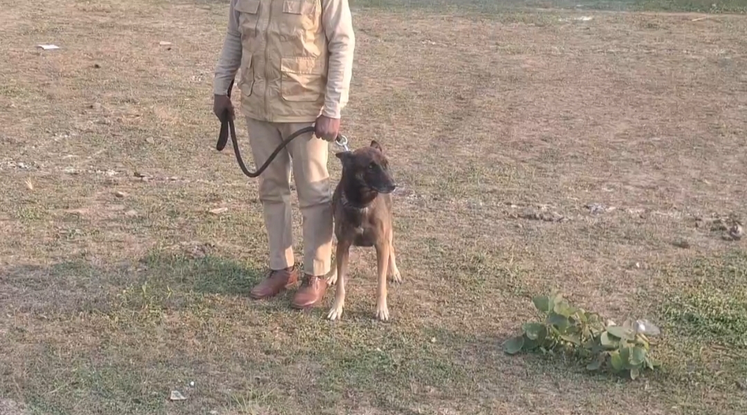sidhi sanjay tiger reserve tracker dog story