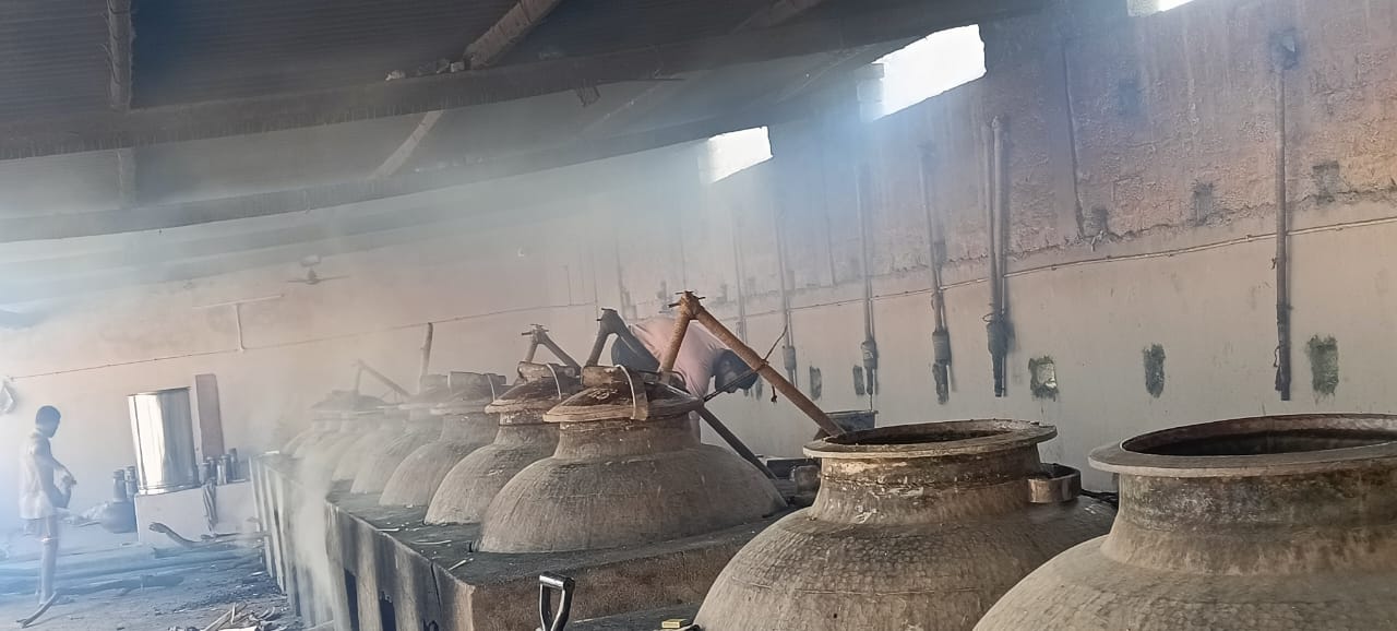 Inside Odisha’s Fragrant Empire: How Ganjam’s Kewda Industry Survives Cyclones, Salinity & Market Pressures