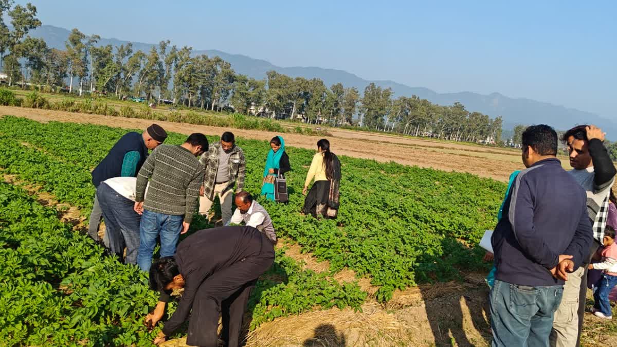 Tips for farming during dry spell