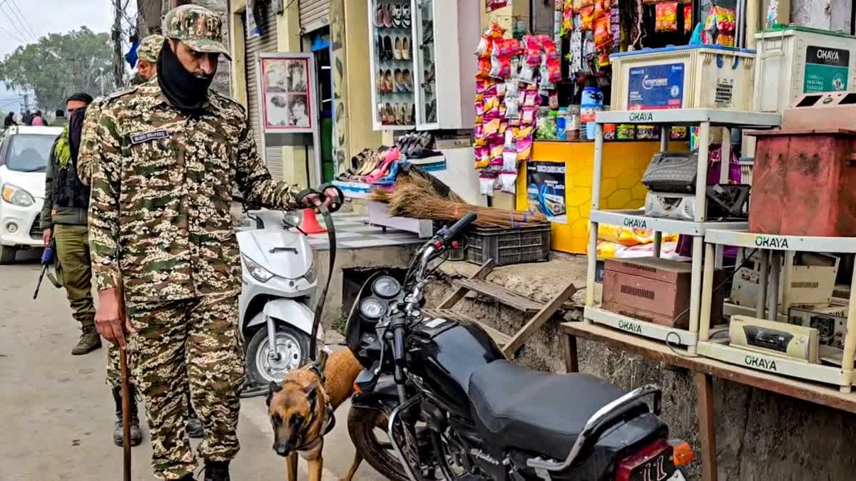 MILITARY SEARCHES OPERATION