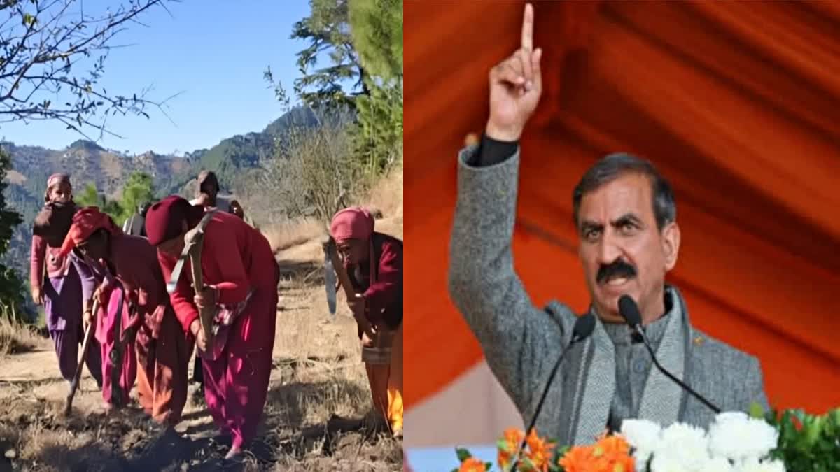 MGNREGA PROTEST HIMACHAL