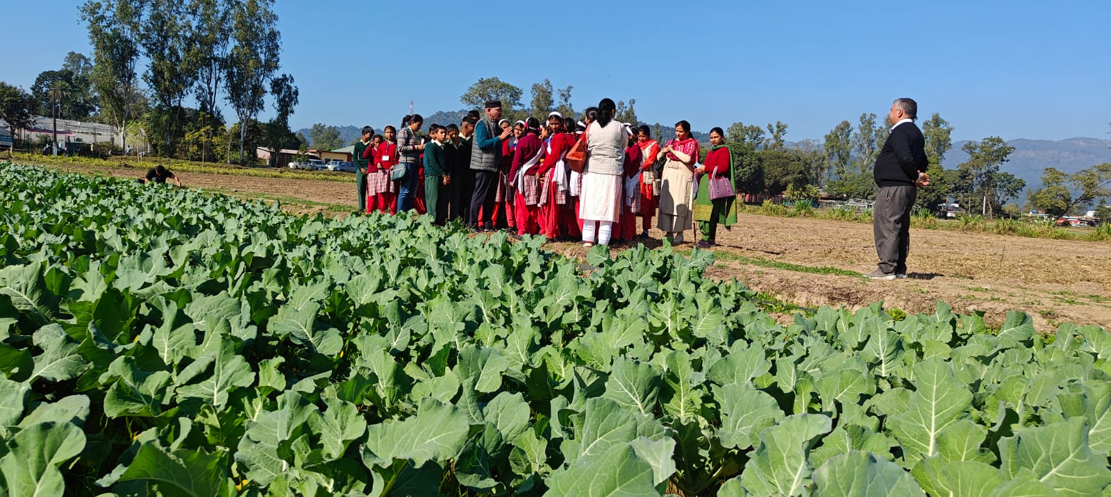 Tips for farming during dry spell