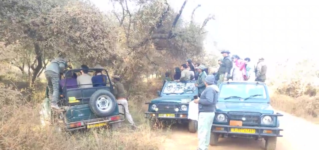 सरिस्का टाइगर रिजर्व