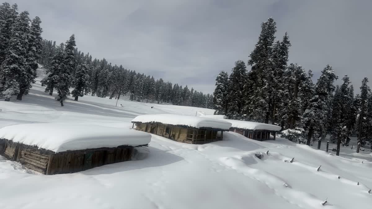 کشمیر میں فروری کے اوائل میں ہوئی برفباری کے بعد ایک دلکش منظر