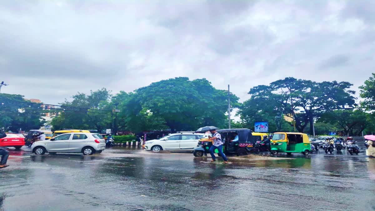 Odisha Weather Update