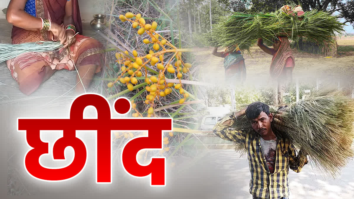 SHAHDOL TRIBAL LIFELINE CHHIND