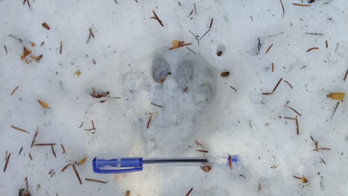 Chamoli Forest Department Team