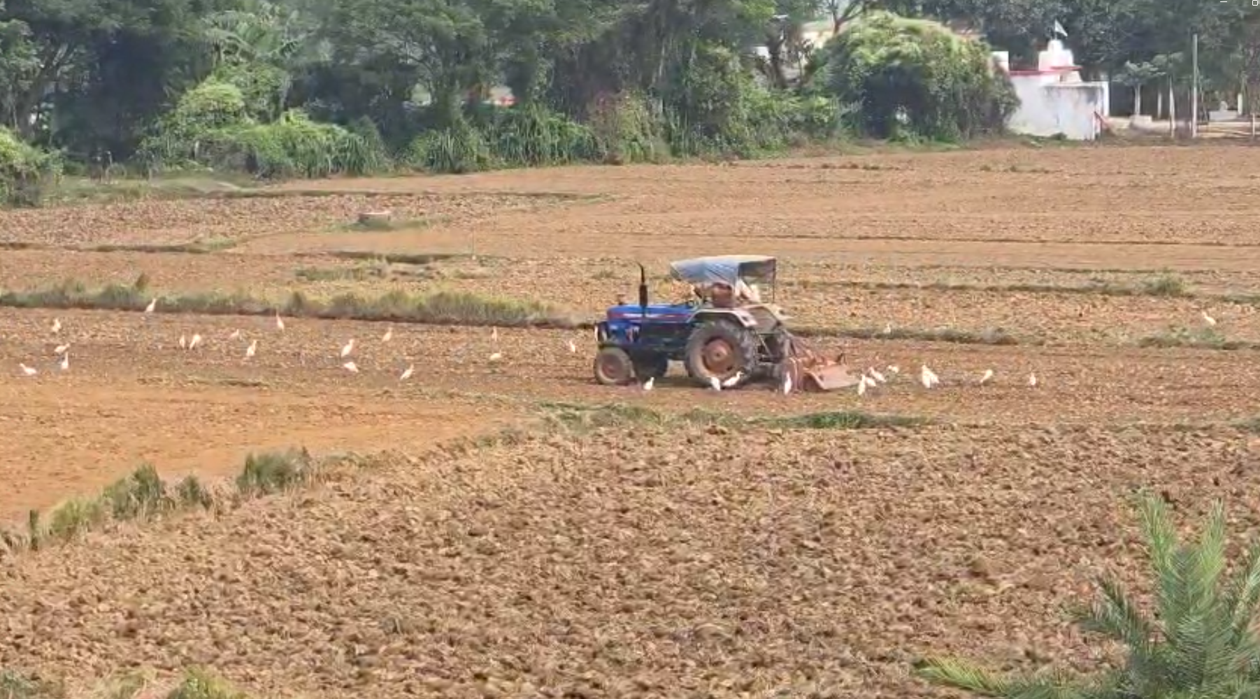 New University announcement to kendrapara in State Budget 2026-27