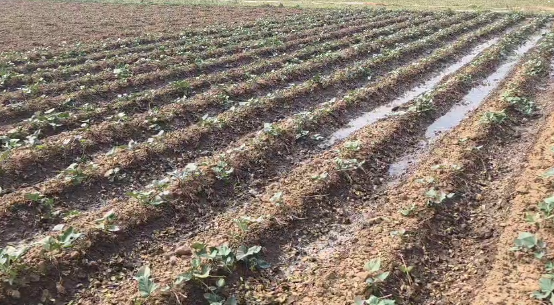 New University announcement to kendrapara in State Budget 2026-27