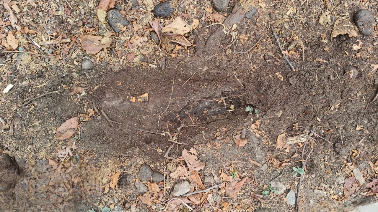 Chamoli Forest Department Team