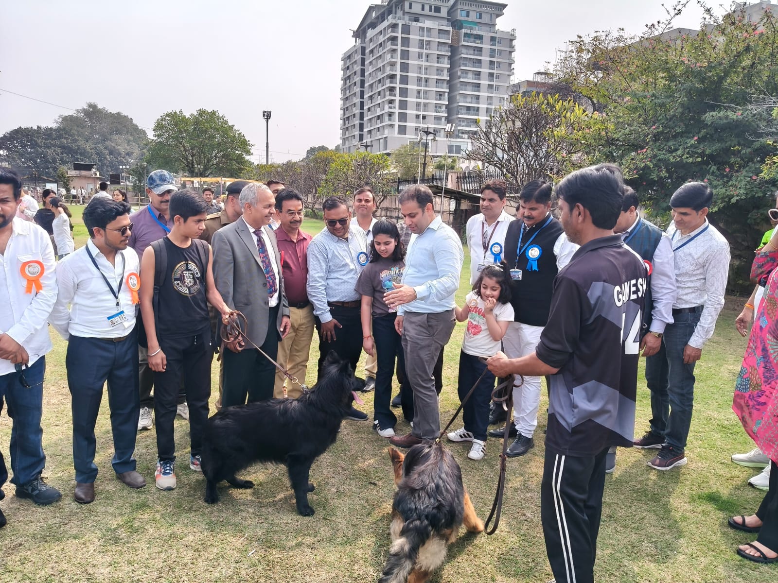 A variety of pets arrived at the pet show