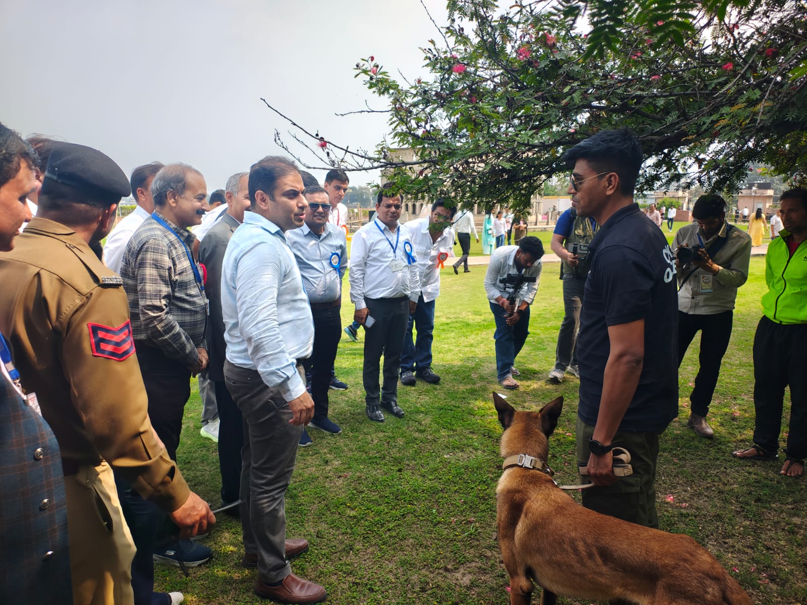 Scene from the pet show