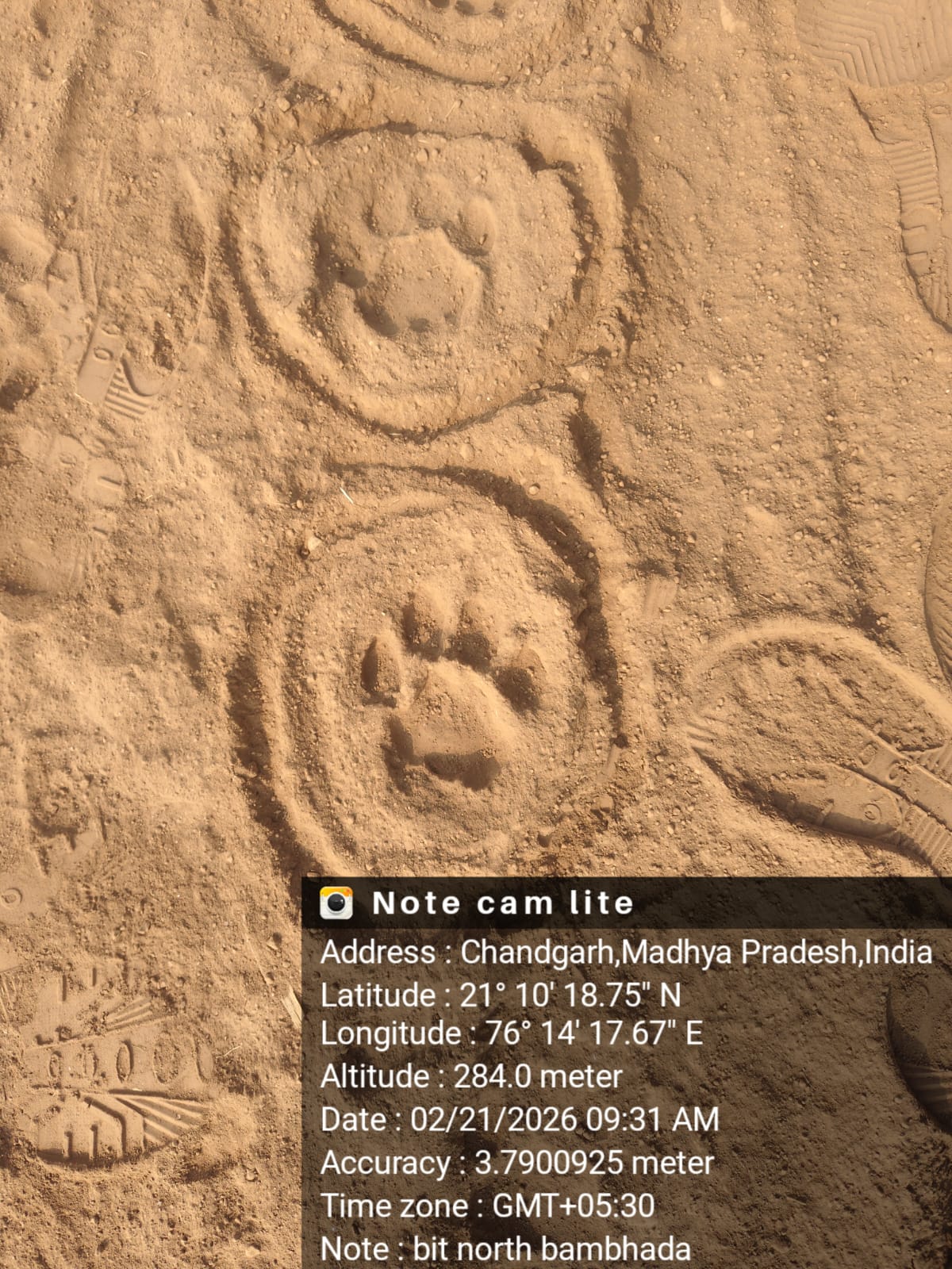 Bambhada village Shahpur forest range leopard footprints