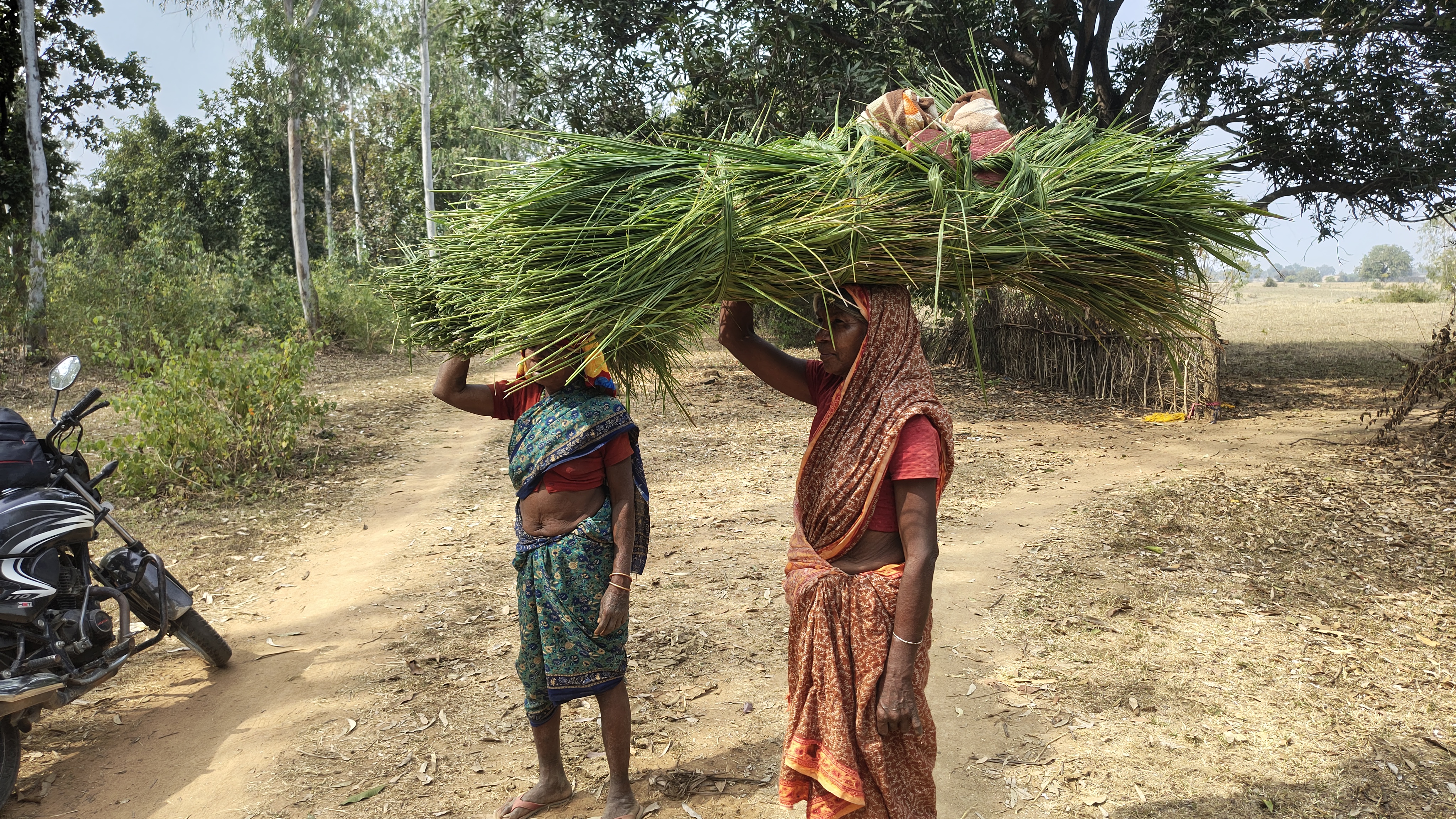SHAHDOL CHHIND LEAVES MADE MATS
