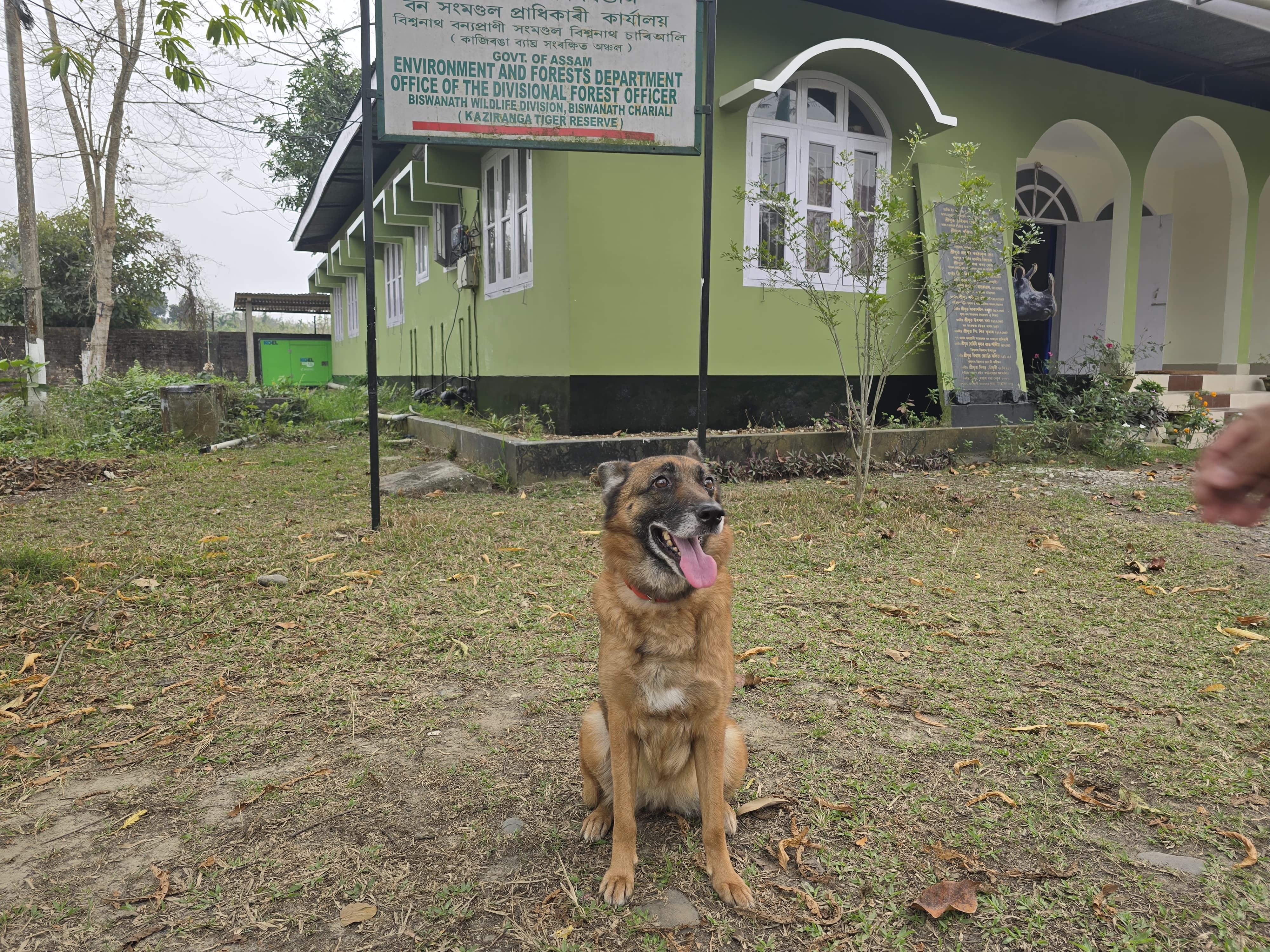 Sniffer Dog Quarmi