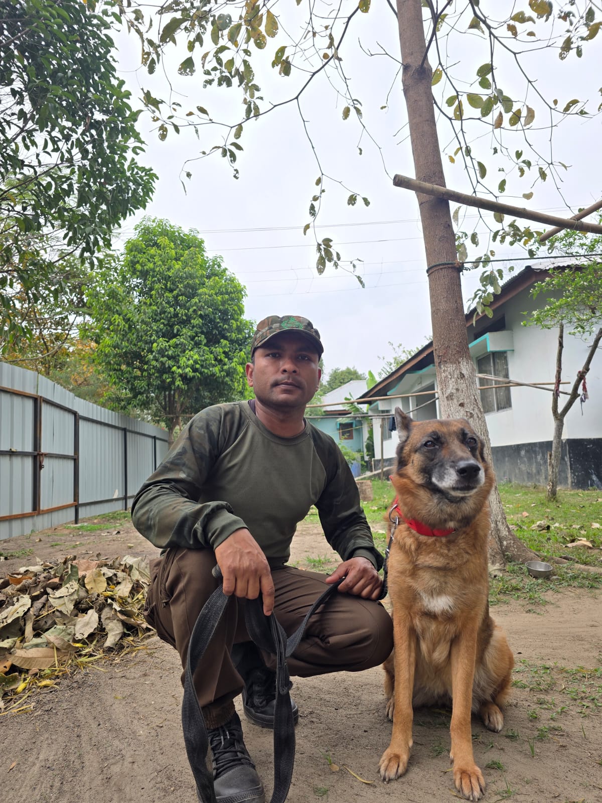Sniffer Dog Quarmi