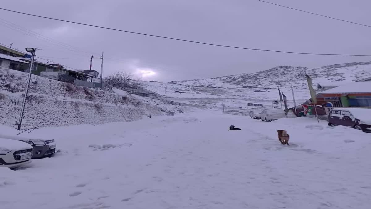 Avalanche Warning Sounded For Parts Of Sikkim, Advisory Issued