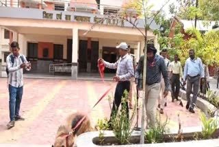 Mandla District Sessions Court