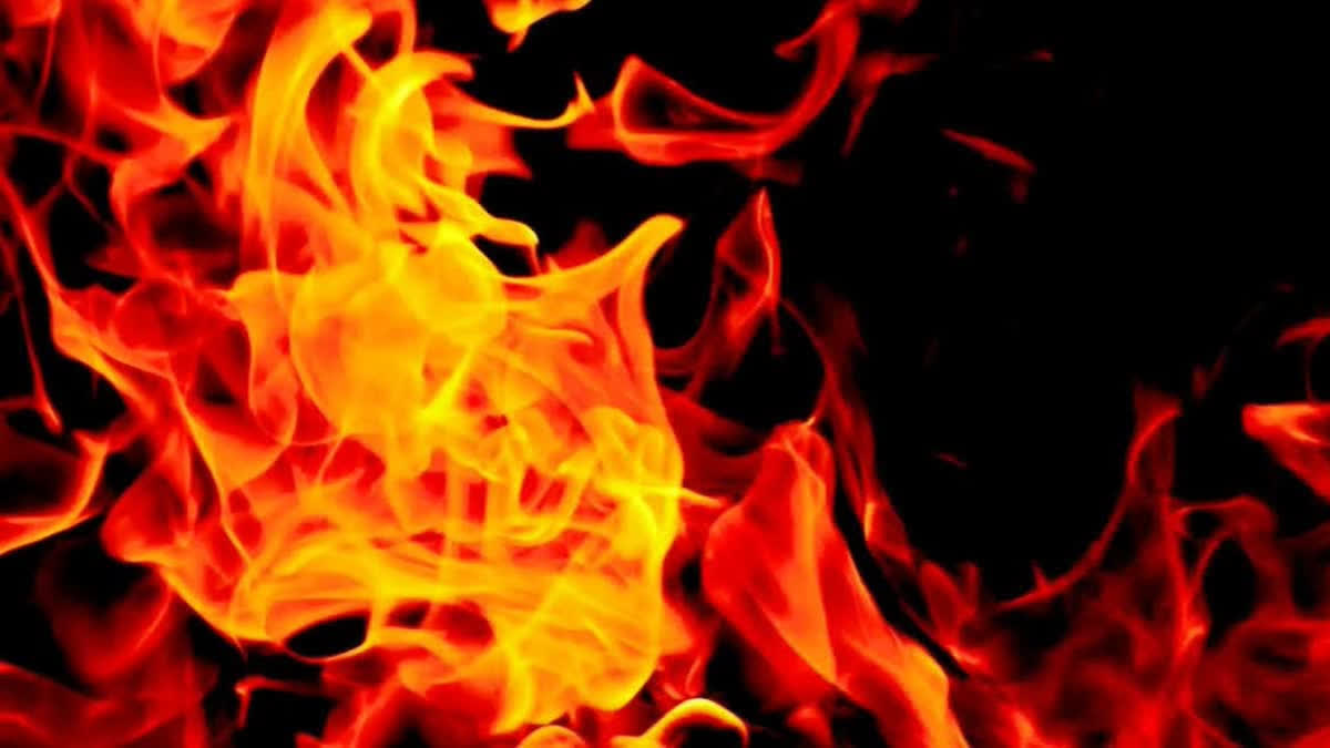 Fire Breaks Out At Godown Of NTPC's Solar Plant In Gujarat's Dahod; No Casualties Fire Breaks out at Godown of NTPC's Solar Plant in Gujarat's Dahod; No Casualties