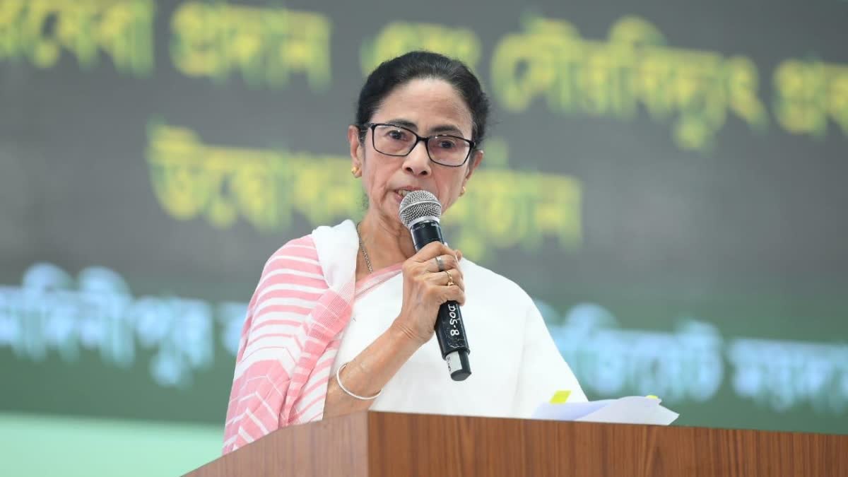 CM Mamata Banerjee