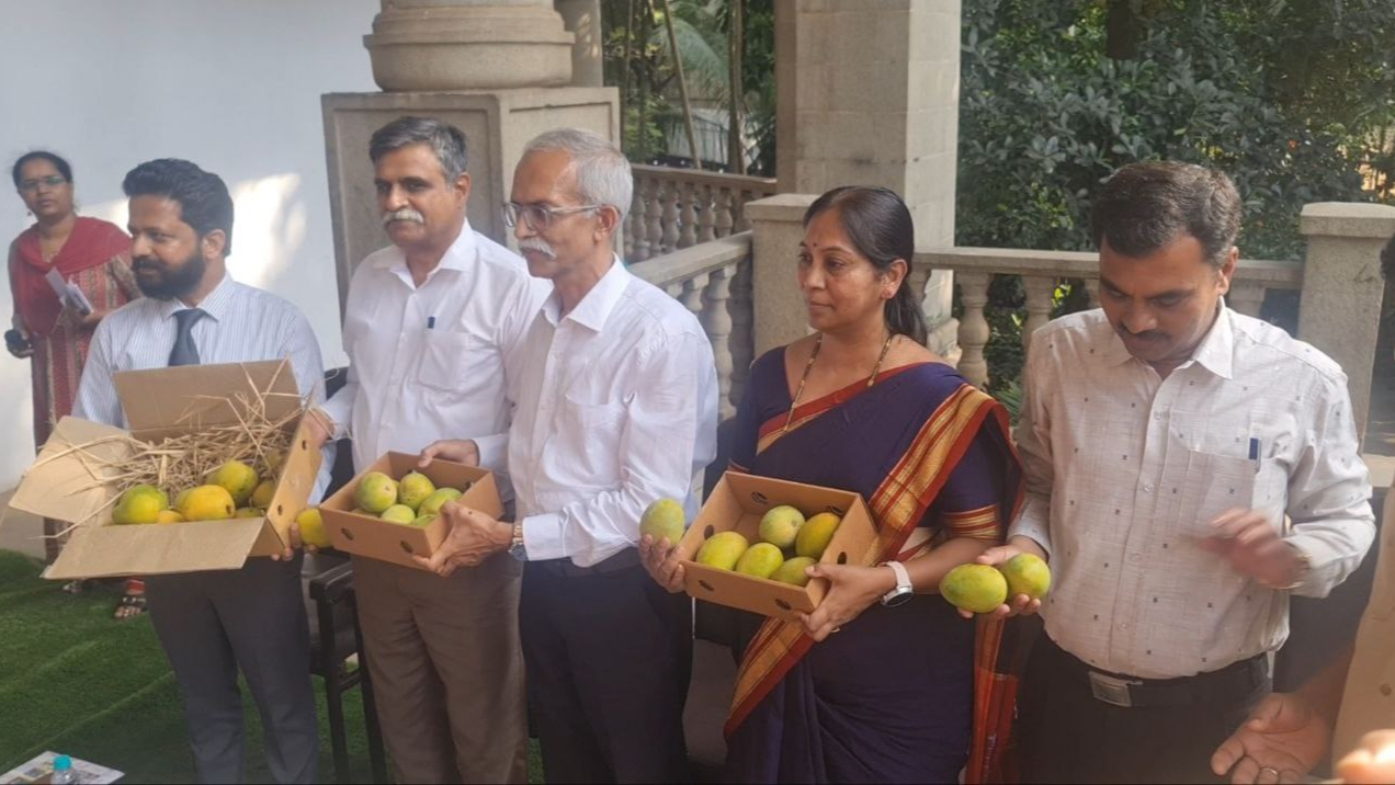 Farm to doorstep delivery of mangoes in Karnataka.