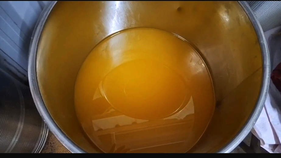 Wood Pressed Wonder: An Amravati Teacher's Experiment With Nutritious Oil Wins Healthy Hearts