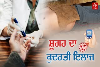 CONTROL SUGAR WITHOUT MEDICINE