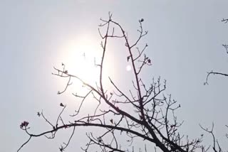 Odisha heatwave 45 degree no relief till April 27 imd alert