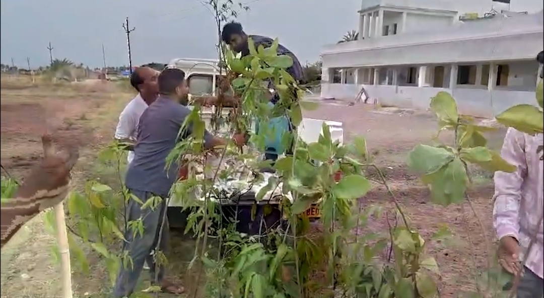 Tree Ambulance In Odisha