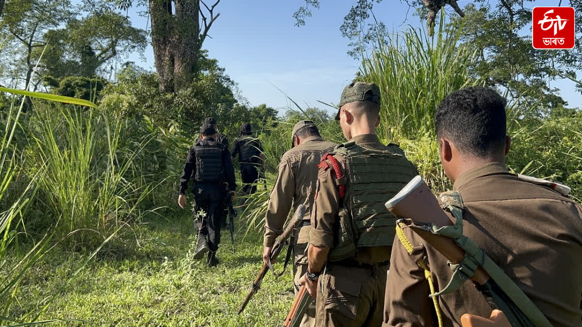 Poacher killed in a clash between forest guard and poachers