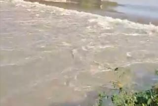 BBMB quota water to Haryana